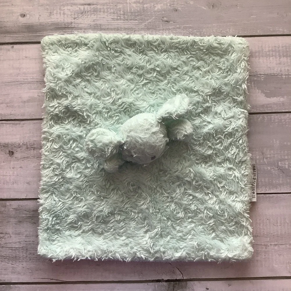 Blankets & Beyond‎ Mint Green Bunny Rabbit Lovey Security Baby Rosettes